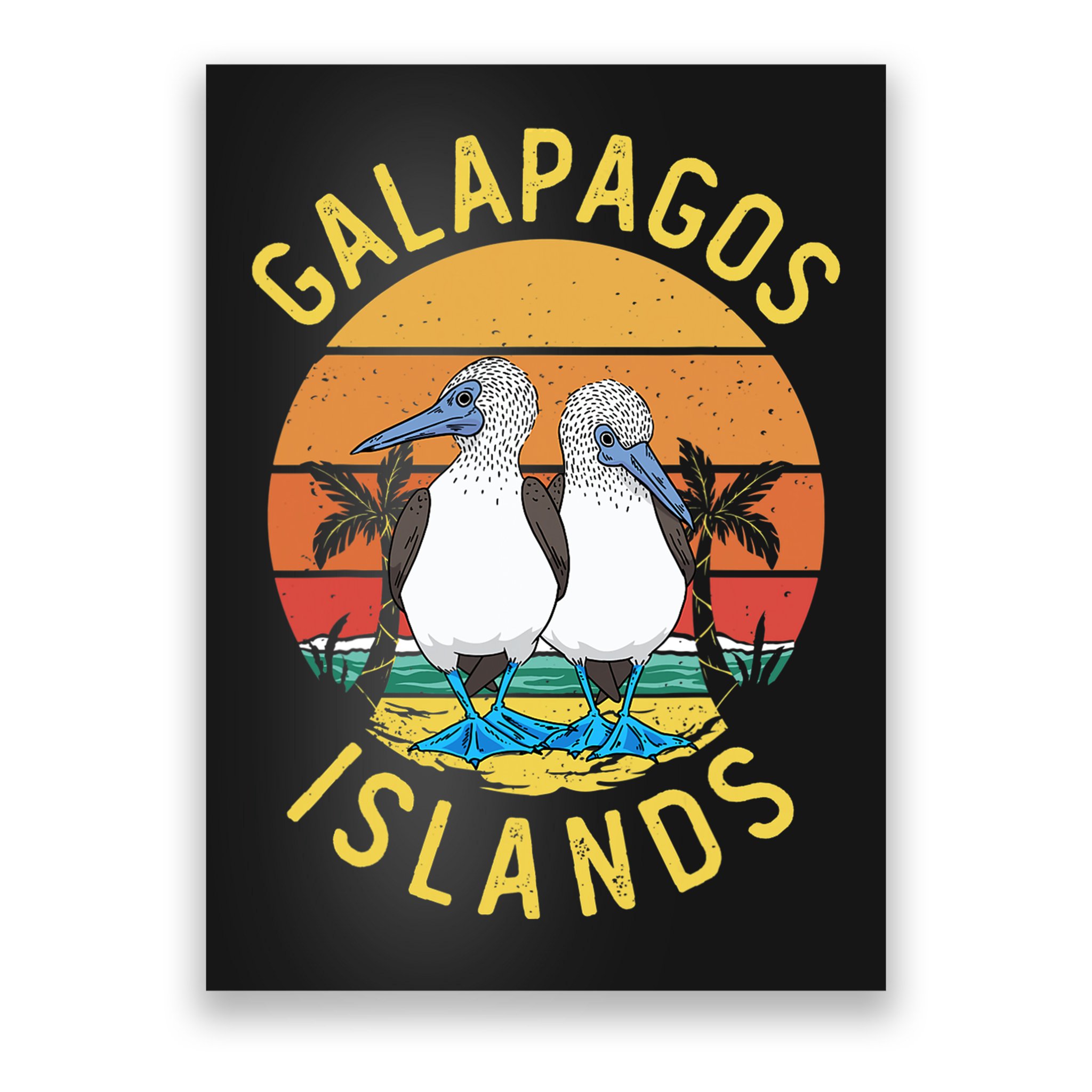 Seabirds Blue Footed Booby Bird Galapagos Island Poster