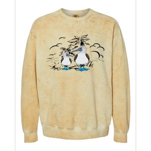 Seabirds Blue Footed Booby Bird Galapagos Islands Colorblast Crewneck Sweatshirt