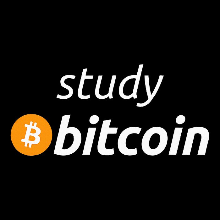 Study Bitcoin Famous Bitcoin Quote Bucket Hat