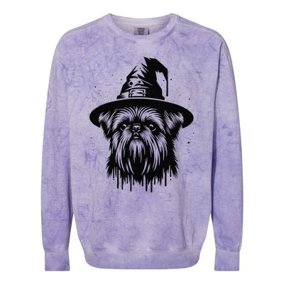 Spooky Brussels Griffon Dog Halloween Witch Hat Vintage Colorblast Crewneck Sweatshirt