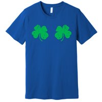 Shamrock Boobs Gift Irish St Patricks Day Gift Cool Gift Premium T-Shirt