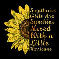 Sagittarius Birthday In November Sunflower Funny 7-Panel Snapback Hat