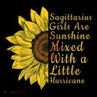 Sagittarius Birthday In November Sunflower Funny 16 in Basic Backpack