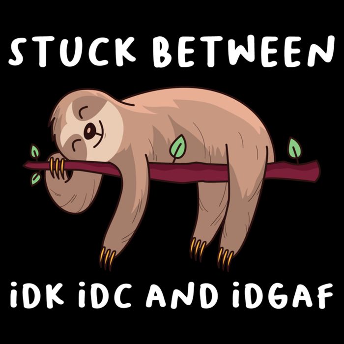 Stuck Between Idk Idc And Idgaf Sloth Lover Gift Great Gift Flexfit Unipanel Trucker Cap