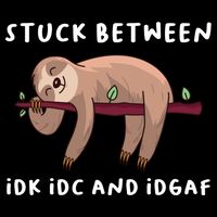 Stuck Between Idk Idc And Idgaf Sloth Lover Gift Great Gift Bucket Hat