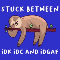 Stuck Between Idk Idc And Idgaf Sloth Lover Gift Great Gift Pom Pom 12in Knit Beanie