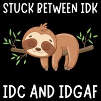 Stuck Between Idk Idc And Idgaf Sloth Lover Gift Toddler T-Shirt