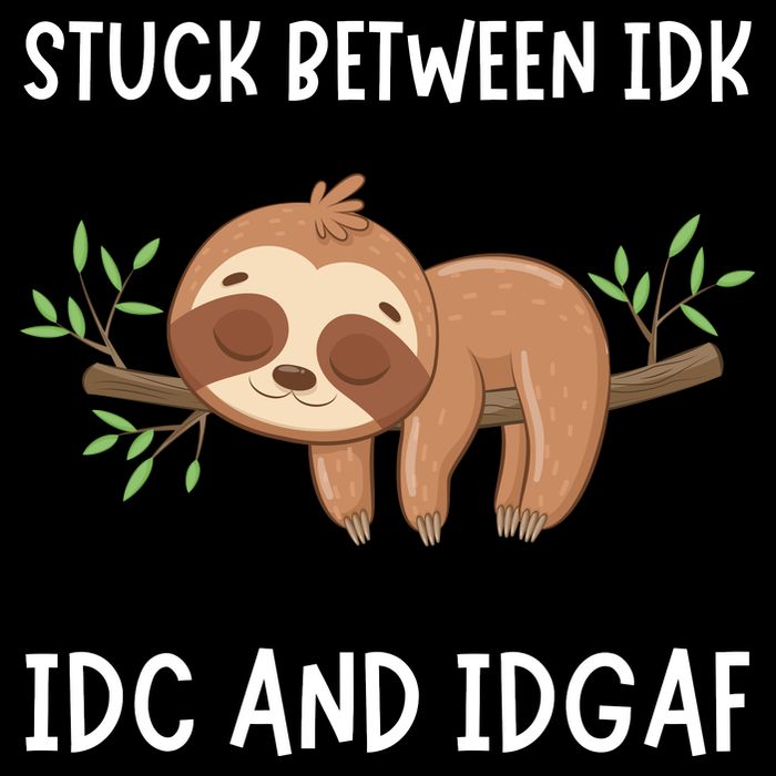 Stuck Between Idk Idc And Idgaf Sloth Lover Gift Toddler T-Shirt