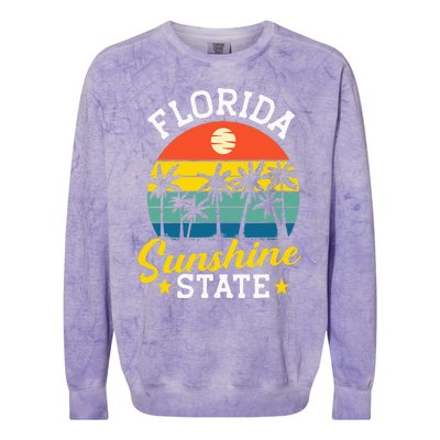 Summer Beach Lover Florida Sunshine State Colorblast Crewneck Sweatshirt