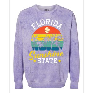 Summer Beach Lover Florida Sunshine State Colorblast Crewneck Sweatshirt