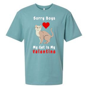 Sorry Boys My Cat Is My Valentine Cute Sueded Cloud Jersey T-Shirt