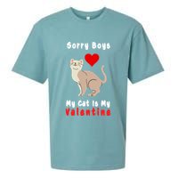 Sorry Boys My Cat Is My Valentine Cute Sueded Cloud Jersey T-Shirt