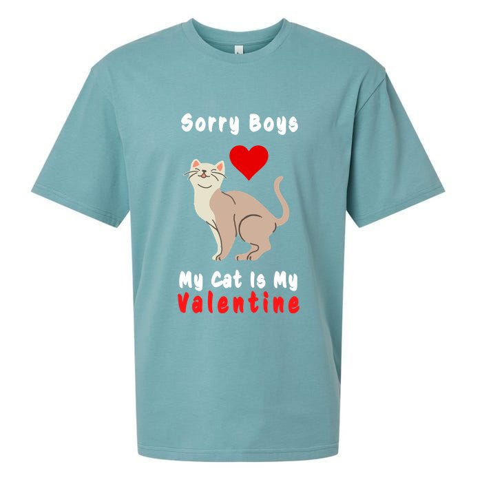 Sorry Boys My Cat Is My Valentine Cute Sueded Cloud Jersey T-Shirt