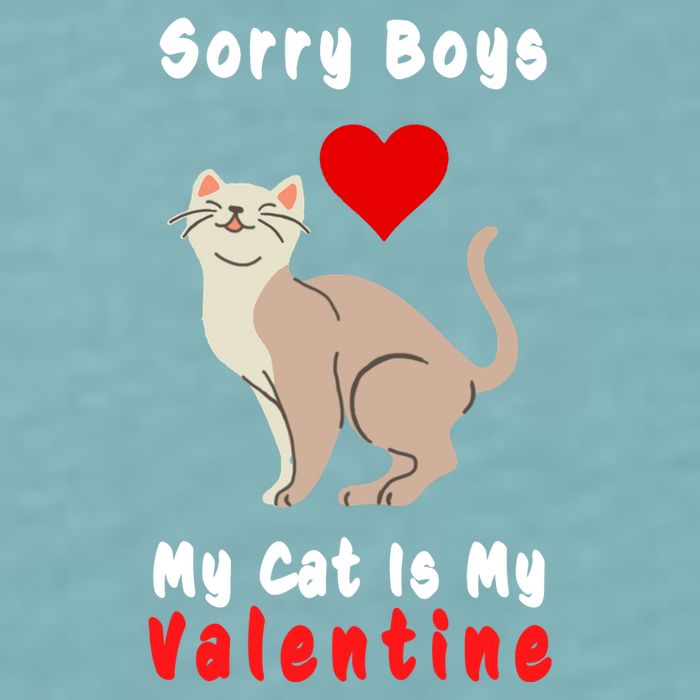 Sorry Boys My Cat Is My Valentine Cute Sueded Cloud Jersey T-Shirt