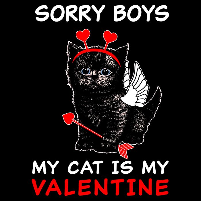 Sorry Boys My Cat Is My Valentine Cooling Performance Crew T-Shirt