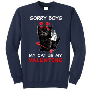 Sorry Boys My Cat Is My Valentine Sweatshirt