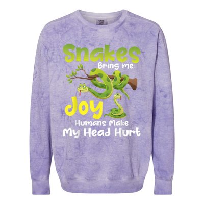 Snakes Bring Me Joy Humans Make My Head Hurt Snake Lover Colorblast Crewneck Sweatshirt