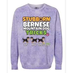 Stubborn Bernese Mountain Dog Tricks I Bernese Mountain Dog Colorblast Crewneck Sweatshirt