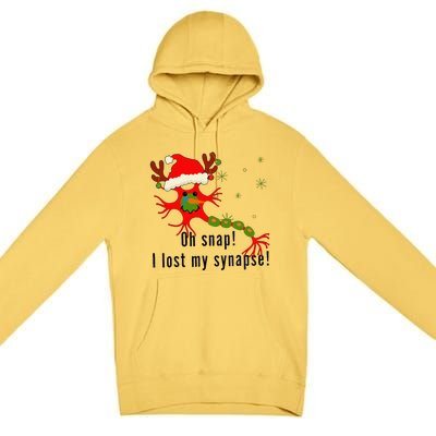 Science Brain Neuron Christmas Neurology Science Teacher Premium Pullover Hoodie