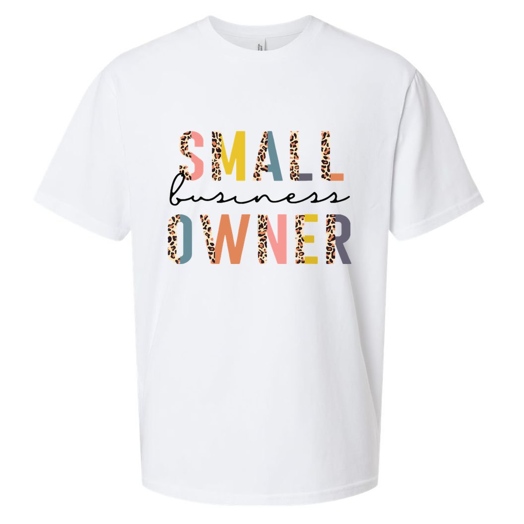 Small Business Owner Tee For Women CEO Entrepreneur Sueded Cloud Jersey T-Shirt