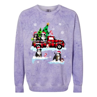 Santa Bernedoodle On Red Plaid Pick Up Truck Christmas Meaningful Gift Colorblast Crewneck Sweatshirt