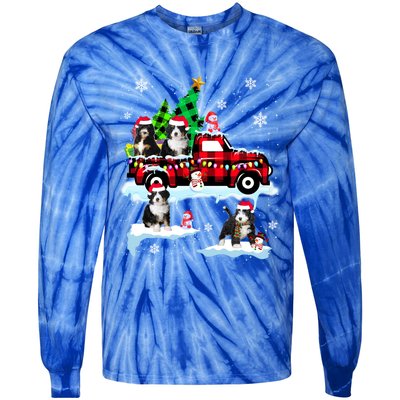 Santa Bernedoodle On Red Plaid Pick Up Truck Christmas Meaningful Gift Tie-Dye Long Sleeve Shirt