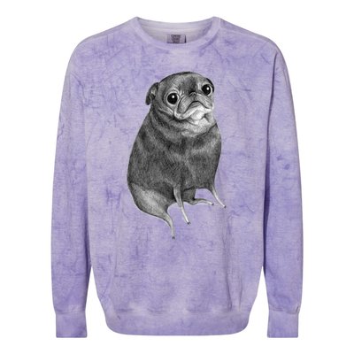 Sweet Black Pug Colorblast Crewneck Sweatshirt