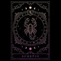 Scorpio Birthday Present Wo Zodiac Sign City Backpack