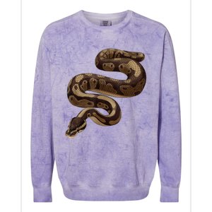 Snake Ball Python Colorblast Crewneck Sweatshirt