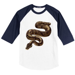 Snake Ball Python Baseball Sleeve Shirt