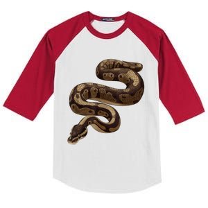 Snake Ball Python Kids Colorblock Raglan Jersey