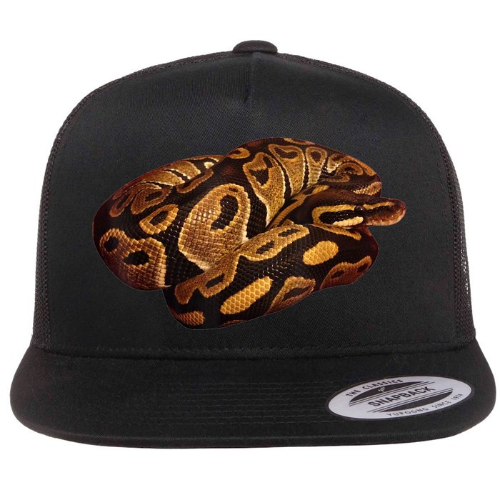 Snake Ball Python Tee Flat Bill Trucker Hat