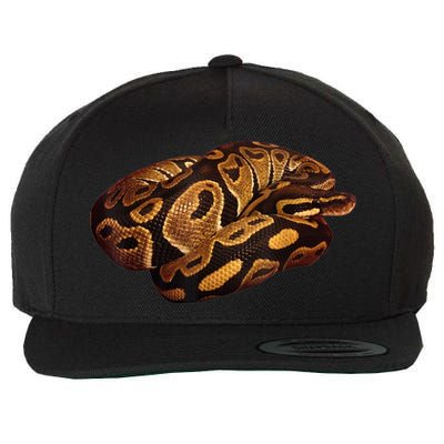 Snake Ball Python Tee Wool Snapback Cap