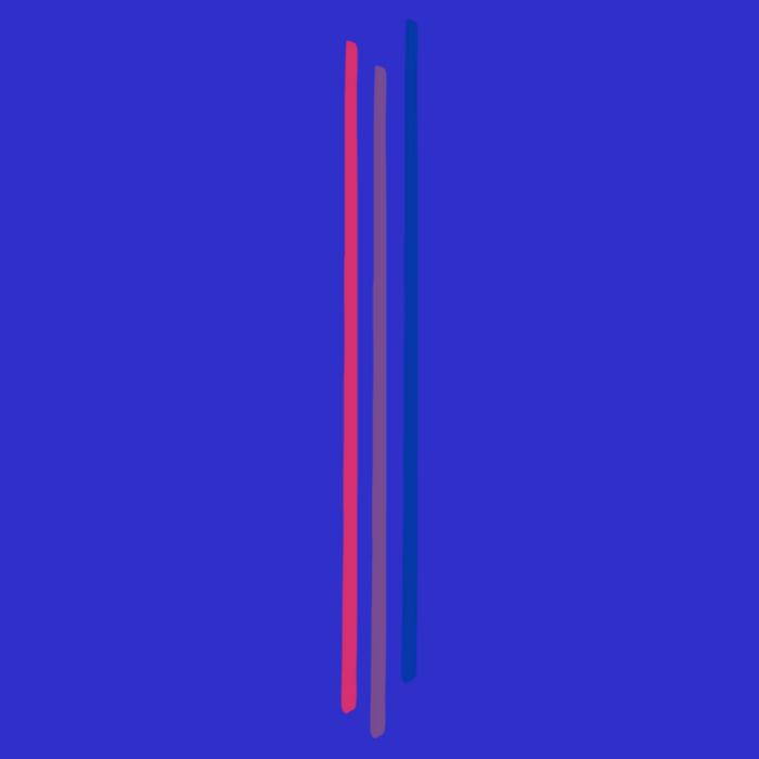 Subtle Bisexual Pride Bi Flag Pride Month Gift Poster