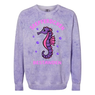 Seahorse Badge Passed Gift Swimming Badge Colorblast Crewneck Sweatshirt