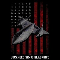 Sr71 Blackbird Plane Cropped Pullover Crew