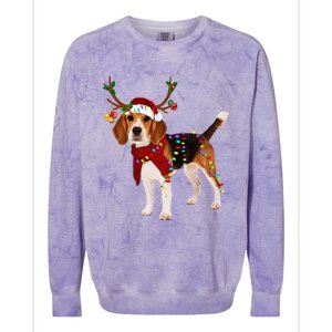 Santa Beagle Reindeer Light Christmas Funny Gift Colorblast Crewneck Sweatshirt