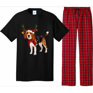 Santa Beagle Reindeer Light Christmas Funny Gift Pajama Set