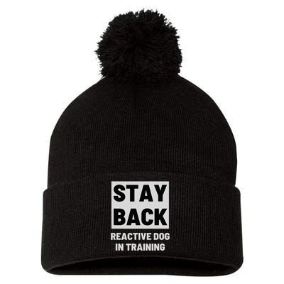 Stay Back Reactive Dog Walking Pom Pom 12in Knit Beanie