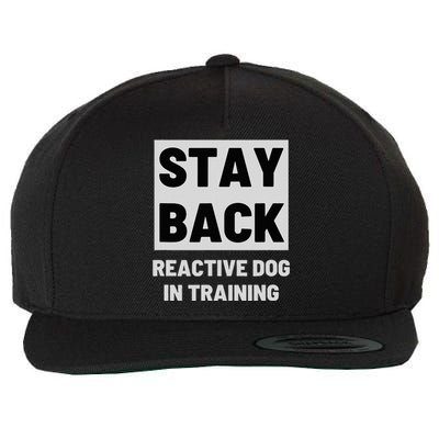 Stay Back Reactive Dog Walking Wool Snapback Cap