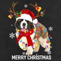 St Bernard Reindeer Xmas Light Christmas Ornaments Xmas Dog 11oz C Handle Ceramic Mug