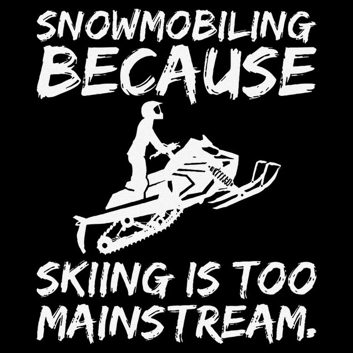Snowmobiling Because Skiing Is Too Mainstream Funny T-Shirt