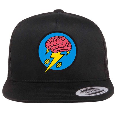 Shakevision Brainstorming Flatbill Hat