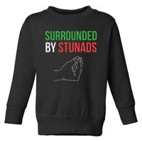 Surrounded By Stunads Funny Italian Sayings Toddler Sweatshirt