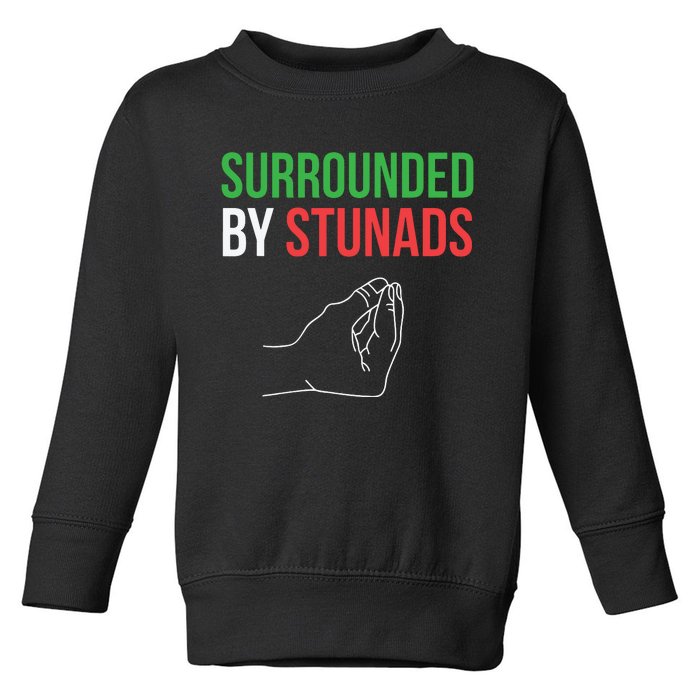 Surrounded By Stunads Funny Italian Sayings Toddler Sweatshirt