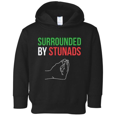 Surrounded By Stunads Funny Italian Sayings Toddler Hoodie