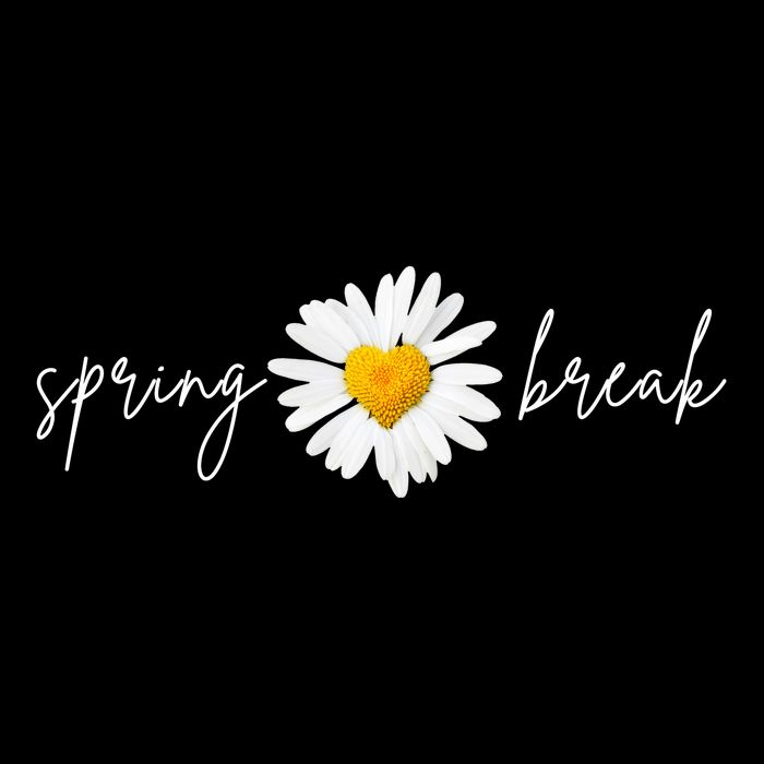 Spring Break Sunflower 16 in Basic Backpack