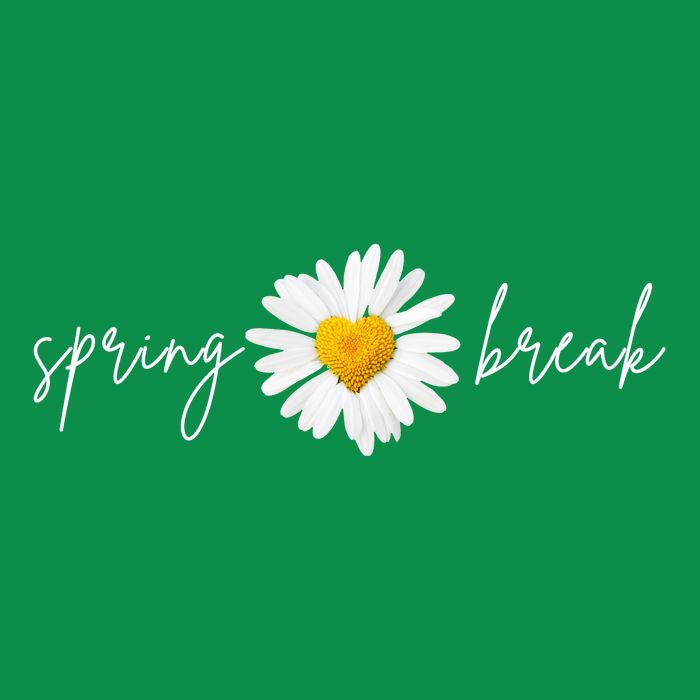 Spring Break Sunflower Button