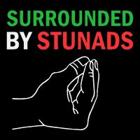 Surrounded By Stunads Funny Italian Sayings 16 in Basic Backpack