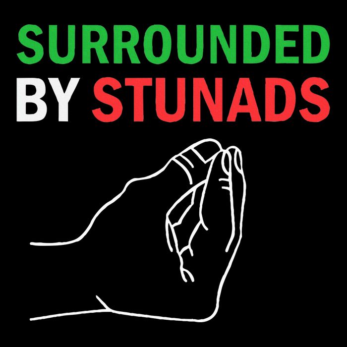 Surrounded By Stunads Funny Italian Sayings 16 in Basic Backpack